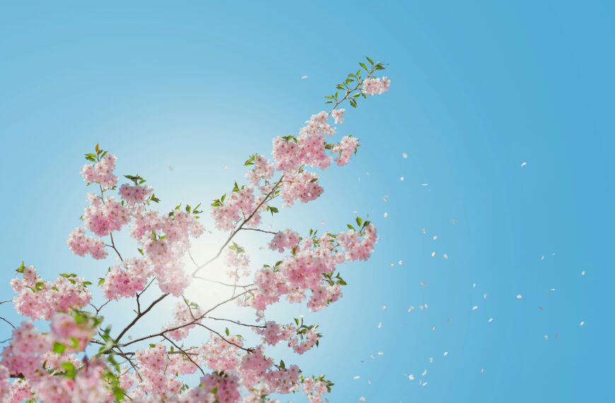 【徵才】學生輔導中心 招聘特約心理師 Recruitment Notice for Adjunct Counseling Psychologist
